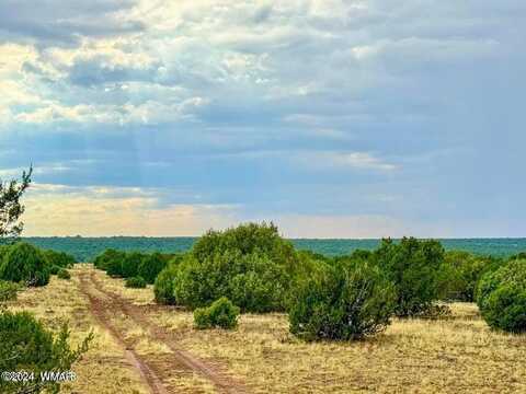 Lot K Silver Lake Blvd 80.61 Acres, Show Low, AZ 85901