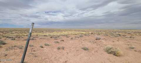 Lot 277 River Meadows Ranch, Concho, AZ 85924