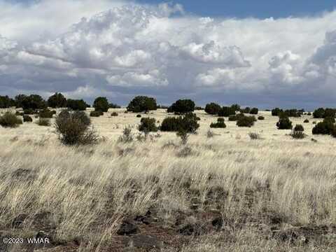 Lot 1 Windsor Valley Ranch, Concho, AZ 85924