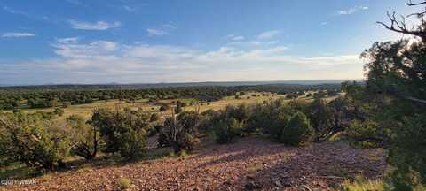 Tbd County Road 8288, Concho, AZ 85924