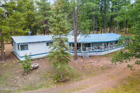 50 County Rd 2271, Alpine, AZ 85920