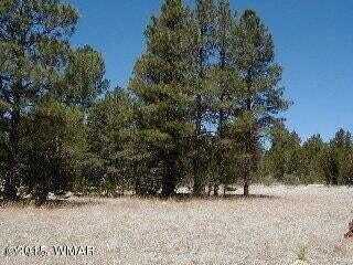 3120,3122 Whitetail Way, Overgaard, AZ 85933