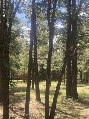 4935 Black Panther Loop, Pinetop, AZ 85935