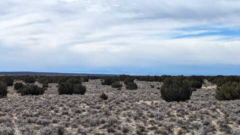 80 Acres Witch Well Ranches Lots 205/6, Saint Johns, AZ 85936