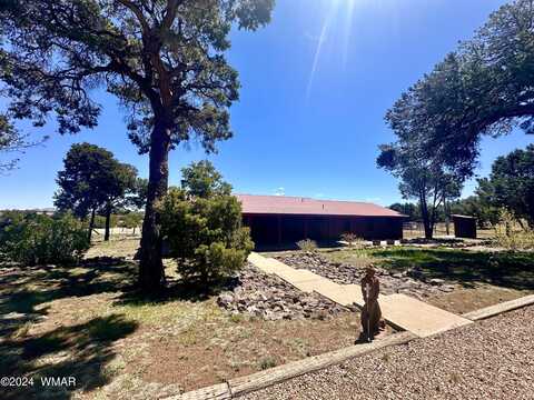 807 Co Rd 3144, Vernon, AZ 85940