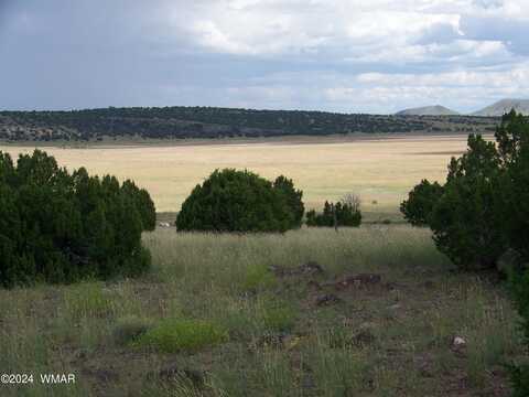 Lot 253 N8640, Concho, AZ 85924