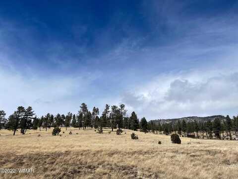 Lot 27 COUNTY RD. 2330, Alpine, AZ 85920