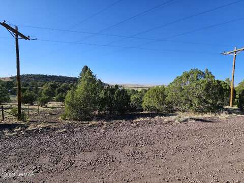 Tbd Snowline Drive, Eagar, AZ 85925