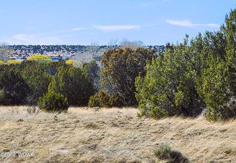 7 County Road 5084, Concho, AZ 85924