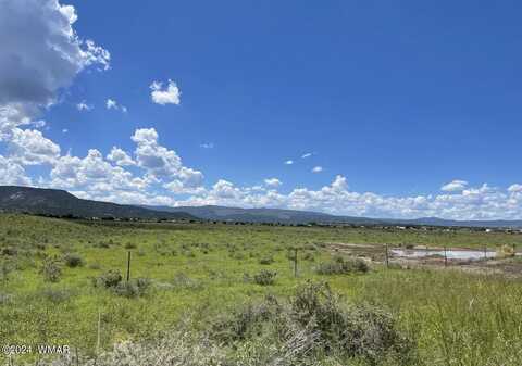 Tbd Parcel 2, Springerville, AZ 85938