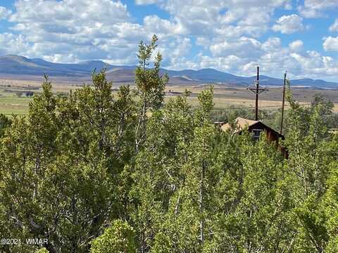 Lot #4 Hidden Valley Drive, Eagar, AZ 85925