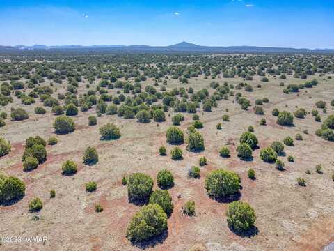 Tbd Penrod 7 acres, Show Low, AZ 85901