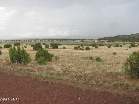 21 & 23 County Road, Concho, AZ 85924