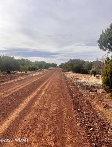 45 County Road 8056, Concho, AZ 85924