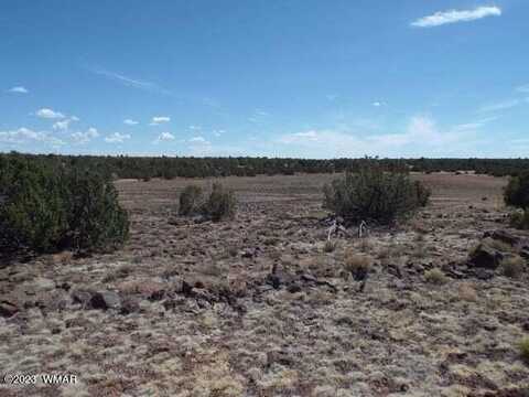 8085 County Road, Concho, AZ 85924