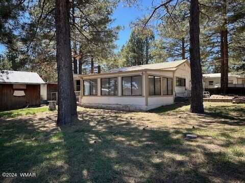 10 County Road 2117, Alpine, AZ 85920