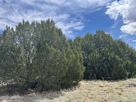 21 Green Drive, Concho, AZ 85924