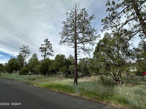 5029 Deer Valley, Lakeside, AZ 85929