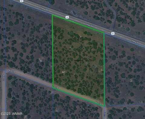 Lot 16 ACR 3028, Vernon, AZ 85940