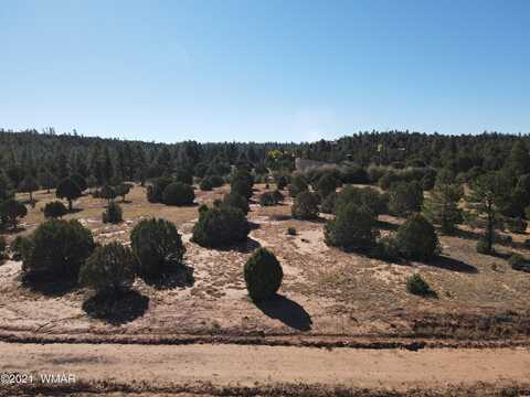 Tbd Iron Spur Trail, Show Low, AZ 85901