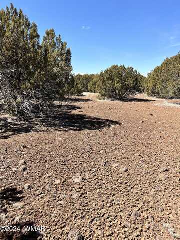 Lot 008D TBD, Concho, AZ 85924