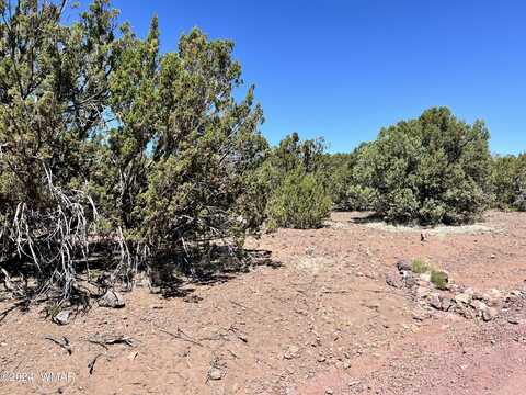 Lot 416 TBD, Vernon, AZ 85940