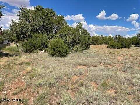 10 Fairway Circle, Concho, AZ 85924