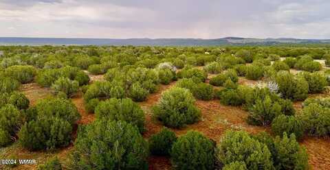 Tbd Rebel Yell 10 Acres, Show Low, AZ 85901