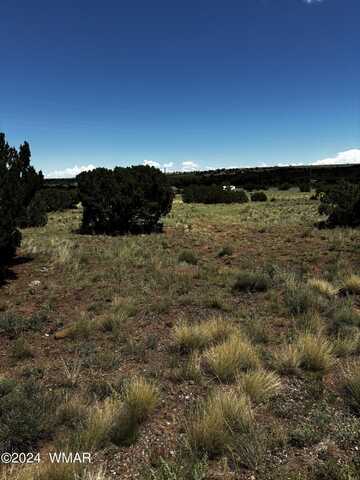 103 CR 5202, Concho, AZ 85924