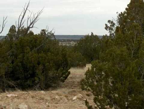 Lot 302 Chevelon Canyon Ranch, Heber, AZ 85928