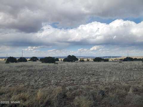 Tbd Cr 5076, Concho, AZ 85924