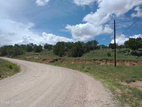 43 Charleen Drive, Concho, AZ 85924