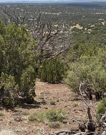 Lot 384 Show Low Pines Unit 10, Concho, AZ 85924