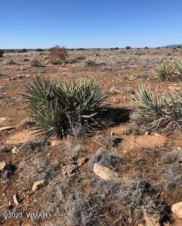 Lot 663 Chevelon Canyon Ranch, Heber, AZ 85928