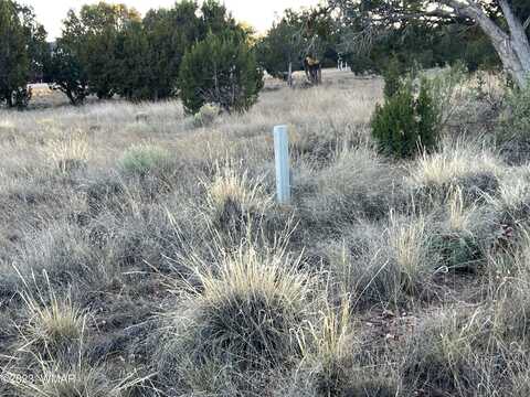 109 Frontage Road, Concho, AZ 85924