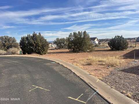 Lot 10 W Arrowhead Road, Snowflake, AZ 85937