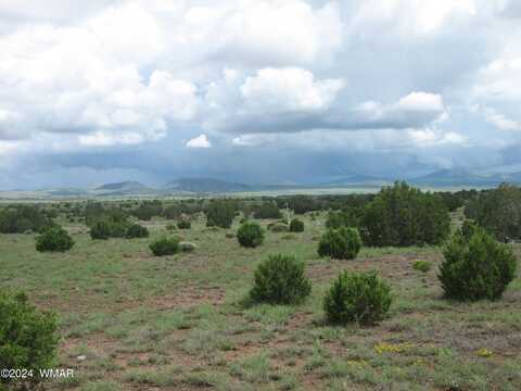 Tbd Lot 44 Windsor Valley Ranch, Concho, AZ 85924