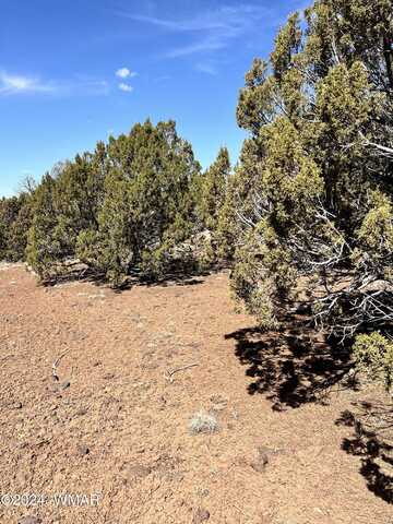 Lot 017, Concho, AZ 85924