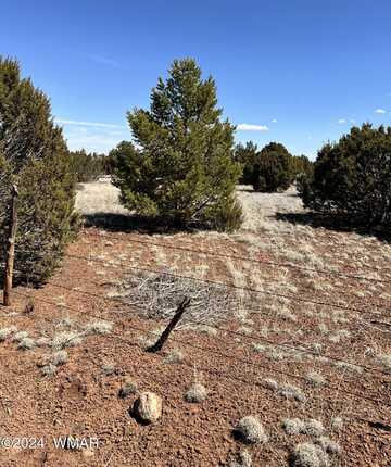 Lot 016 TBD, Concho, AZ 85924