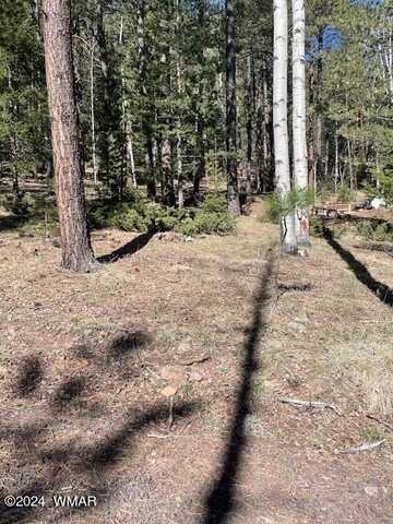 2 County Road 1007, Greer, AZ 85927