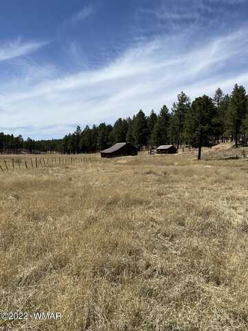 Lot B Forest Road 26, Alpine, AZ 85920