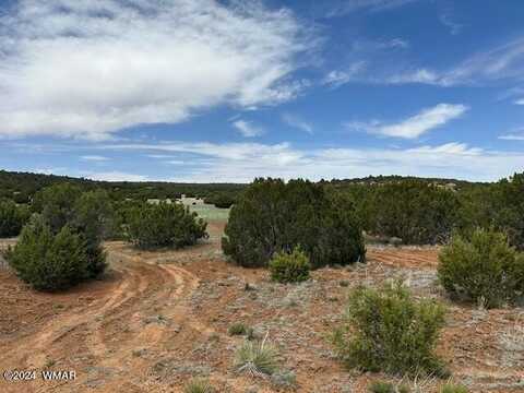 50 Co Road, Concho, AZ 85924