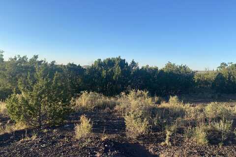 Lot 10 Sunset Drive, Eagar, AZ 85925