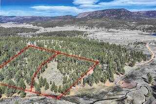 Parcel D COUNTY ROAD N2147, Alpine, AZ 85920