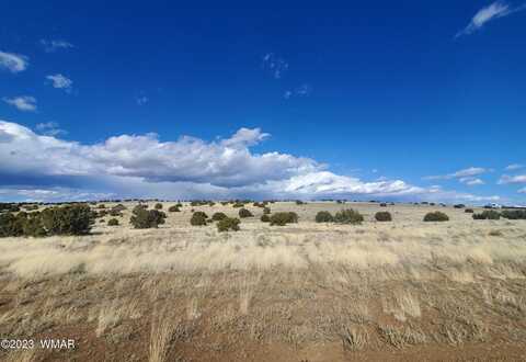 Tbd CR 5101, Concho, AZ 85924