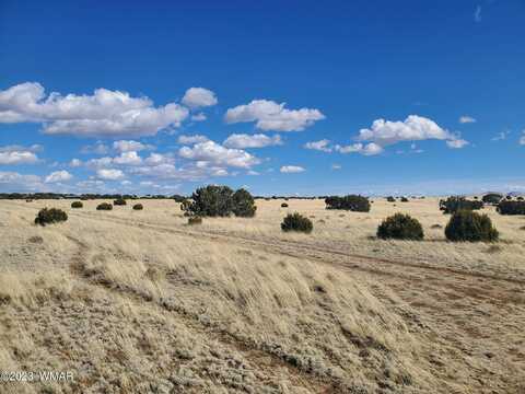 Tbd CR 5141, Concho, AZ 85924