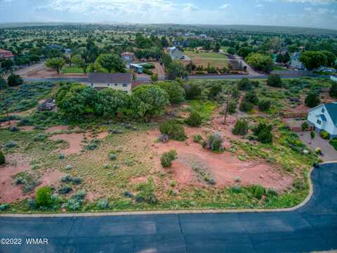 296 S Pioneer Trail, Snowflake, AZ 85937