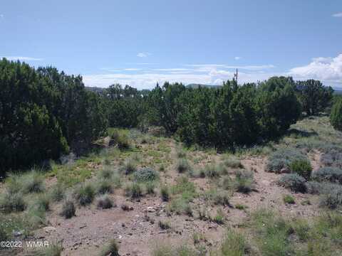 46 Dawn Lane, Concho, AZ 85924