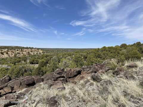 35 County Road 8259, Concho, AZ 85924