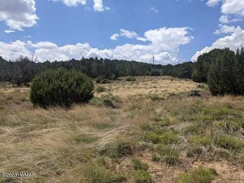 Tbd Lot 2291 Park Show Low Unit 6, Concho, AZ 85924